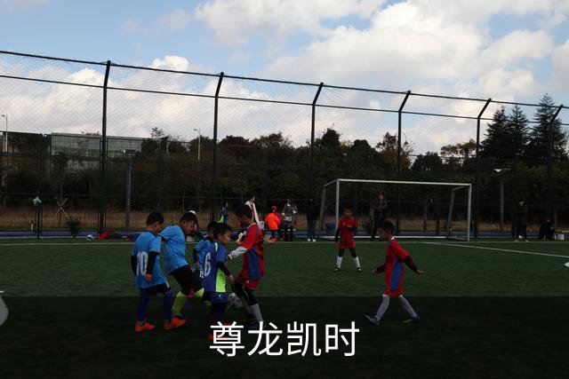 尊龙凯时